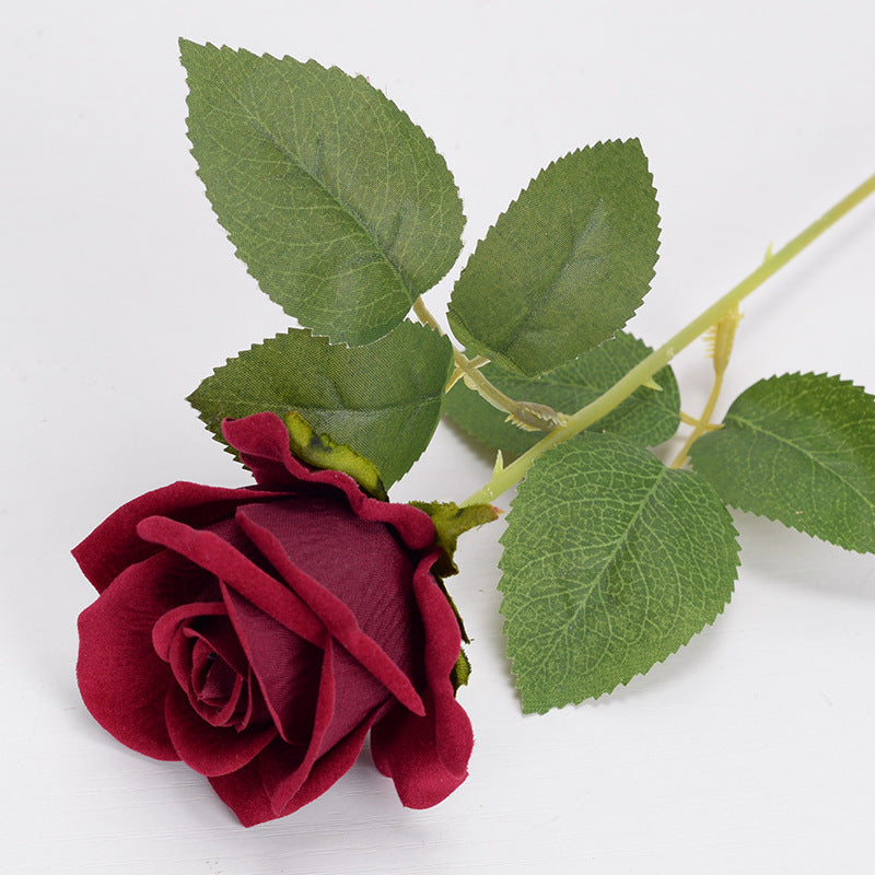 Parisian velvet rose