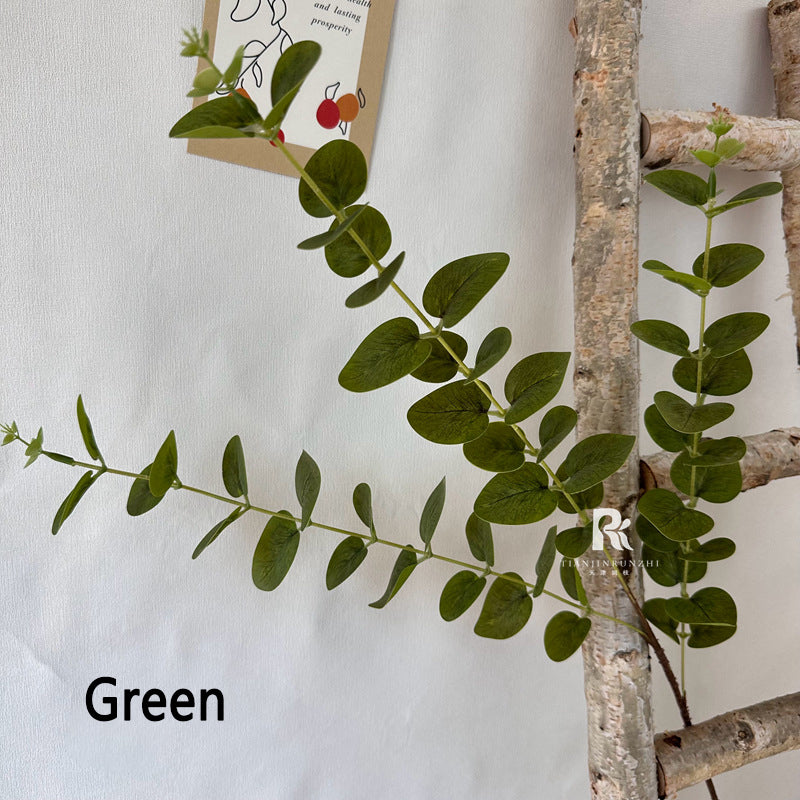 Eucalyptus false leaves