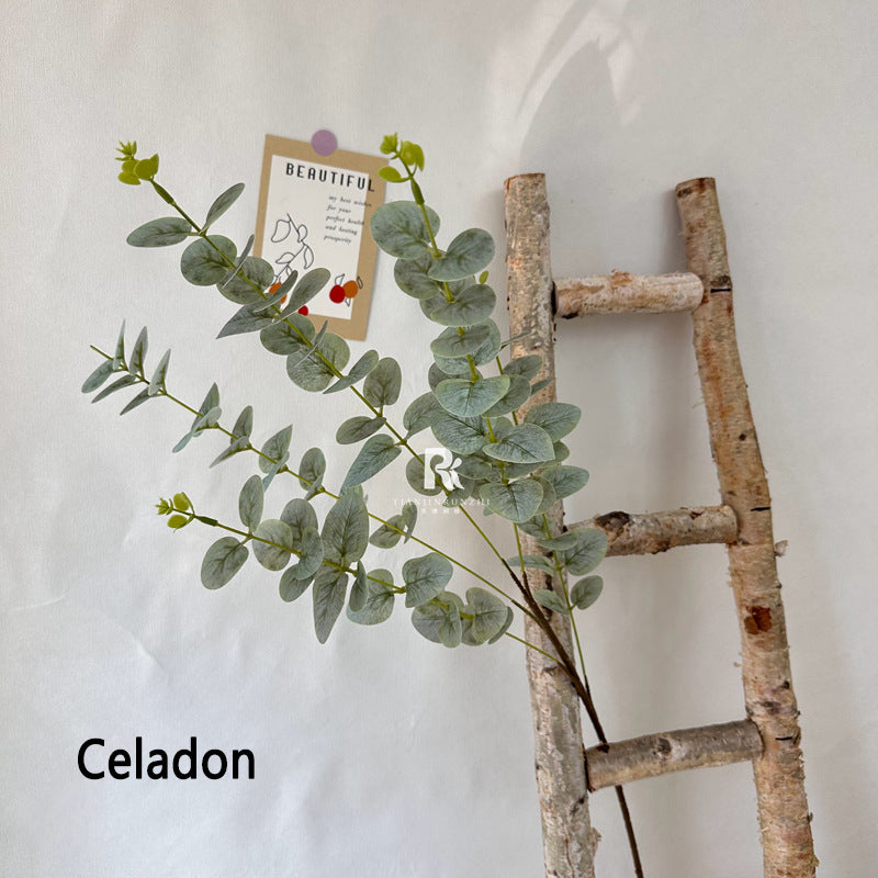 Eucalyptus false leaves