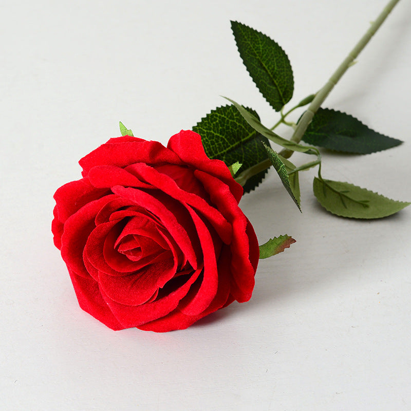 Parisian velvet rose