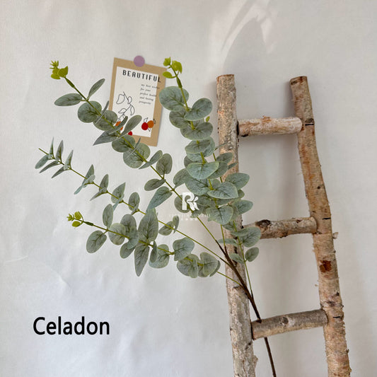 Eucalyptus false leaves