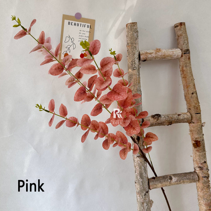 Eucalyptus false leaves